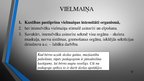 Prezentācija 'Fizisko aktivitāšu ietekme uz organismu', 12.