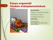 Prezentācija 'Šūnas organoīdi', 5.