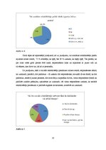 Referāts 'Sociālā rehabilitētāja lomas krīzes centrā bērniem un sievietēm "Māras centrs"', 20.