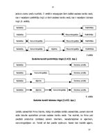 Diplomdarbs 'Jauna produkta virzīšana SIA "Izstāžu sabiedrībā Prima"', 37.