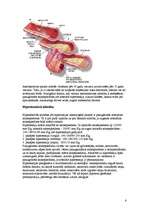 Referāts 'Sirds un asinsvadu sistēmas patoloģija', 6.