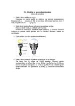 Paraugs 'LED diodes (Kasperuks)', 7.