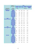 Biznesa plāns 'Marketing Communication Plan', 29.