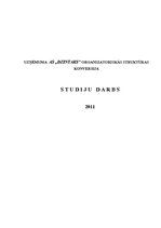 Referāts 'Uzņēmuma AS "Dzintars" organizatoriskās struktūras konversija', 1.