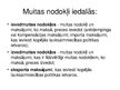 Prezentācija 'Muitas nodoklis', 4.