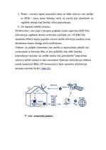 Referāts 'Internets caur satelītu', 6.