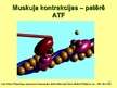 Prezentācija 'ATF atjaunošanās (ATF resintēzes) muskuļu darba laikā', 3.