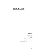 Referāts 'Darba aizsardzības sistēmas ieviešana', 25.