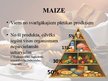 Referāts 'Produkta „maize” tirgus izpēte A/S „Hanzas Maize”', 25.