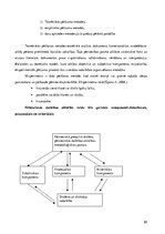 Diplomdarbs 'Skolēnu pētnieciskās darbības attīstība ģeogrāfijas mācību procesā pamatskolā', 89.