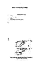 Referāts 'Revolveri', 5.