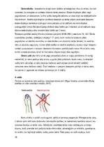 Diplomdarbs 'Ergonomiskie darba vides riski biroja darbiniekiem atvērtā tipa birojā uzņēmumā ', 20.