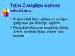 Prezentācija 'Viestura ordenis un Triju Zvaigžņu ordenis', 6.