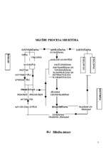 Referāts 'Mācību process un tā struktūra', 7.