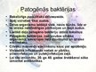 Prezentācija 'Baktērijas - slimību izraisītājas', 3.