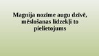 Prezentācija 'Magnija nozīme augu dzīvē, mēslošanas līdzekļi to pielietojums', 1.