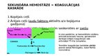 Prezentācija 'Hemostāzes traucējumi intensīvajā terapijā un anestezioloģijā. Koagulācijas sist', 4.