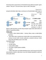 Referāts 'Kustību rotaļas bērniem 5-6 gadu vecumposmam', 7.