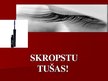 Prezentācija 'Skropstu tušu sastāvs', 1.