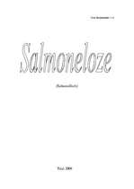 Referāts 'Salmoneloze', 1.