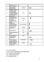 Referāts 'Gulbenes rajona tūrisma attīstības programmas 2007.–2013.gadam izvērtējums no il', 10.