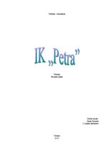 Biznesa plāns 'IK "Petra"', 1.