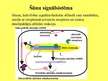 Prezentācija 'Šūnu signālsistēma', 16.