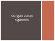 Referāts 'Kaitīgās vielas cigaretēs', 27.