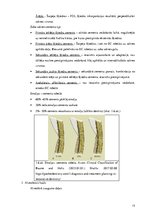 Diplomdarbs 'Periodonta slimību diagnostika un ārstēšanas metodes', 13.