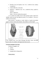 Diplomdarbs 'Periodonta slimību diagnostika un ārstēšanas metodes', 14.