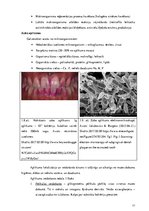 Diplomdarbs 'Periodonta slimību diagnostika un ārstēšanas metodes', 17.