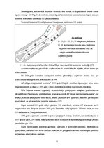 Prakses atskaite 'Prakses atskaite a/s "Rīgas starptautiskā autoosta"', 11.