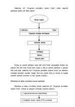 Referāts 'Uzņēmuma "X" vadīšanas analīze', 39.