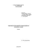 Referāts 'Tematiskais plāns un mācību stundas konspekts literatūrā 11.klasei ', 1.