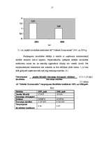 Referāts 'A/s "Dobeles Dzirnavnieks" finansiālā stāvokļa analīze', 17.