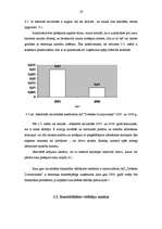 Referāts 'A/s "Dobeles Dzirnavnieks" finansiālā stāvokļa analīze', 19.