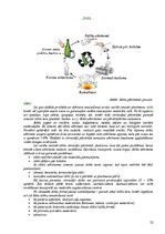 Referāts 'Atkritumi un to apsaimniekošana', 22.