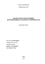 Referāts 'LiFePO4 litija jonu bateriju katodmateriāla analīze un optimizācija', 1.