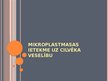 Prezentācija 'Mikroplastmasa cilvēka organismā', 5.