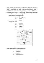 Referāts 'Litosfēras resursu izmantošana', 4.