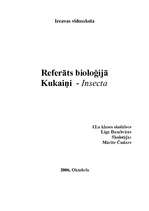 Referāts 'Kukaiņi - Insecta', 1.