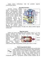 Referāts 'Mono-Jectronic', 5.