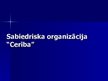 Prezentācija 'Sabiedriskā organizācija "Cerība"', 1.