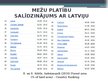 Prezentācija 'Meža nozares raksturojums Baltkrievijā', 12.