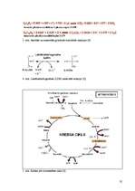 Referāts 'Laktāta metabolisms cilvēka organismā un to ietekmējošie faktori', 32.