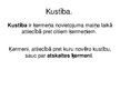 Prezentācija 'Ķermeņu kustība', 5.