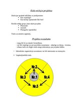 Referāts 'Risks, veidojot projektus', 1.