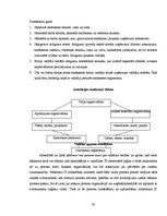 Referāts 'Biroja darba organizācija un tās pilnveidošanas iespējas uzņēmumā', 20.