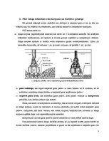 Referāts 'Pneimatiskie kameru sūkņi', 5.