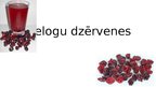 Prezentācija 'Lielogu dzērvenes', 1.